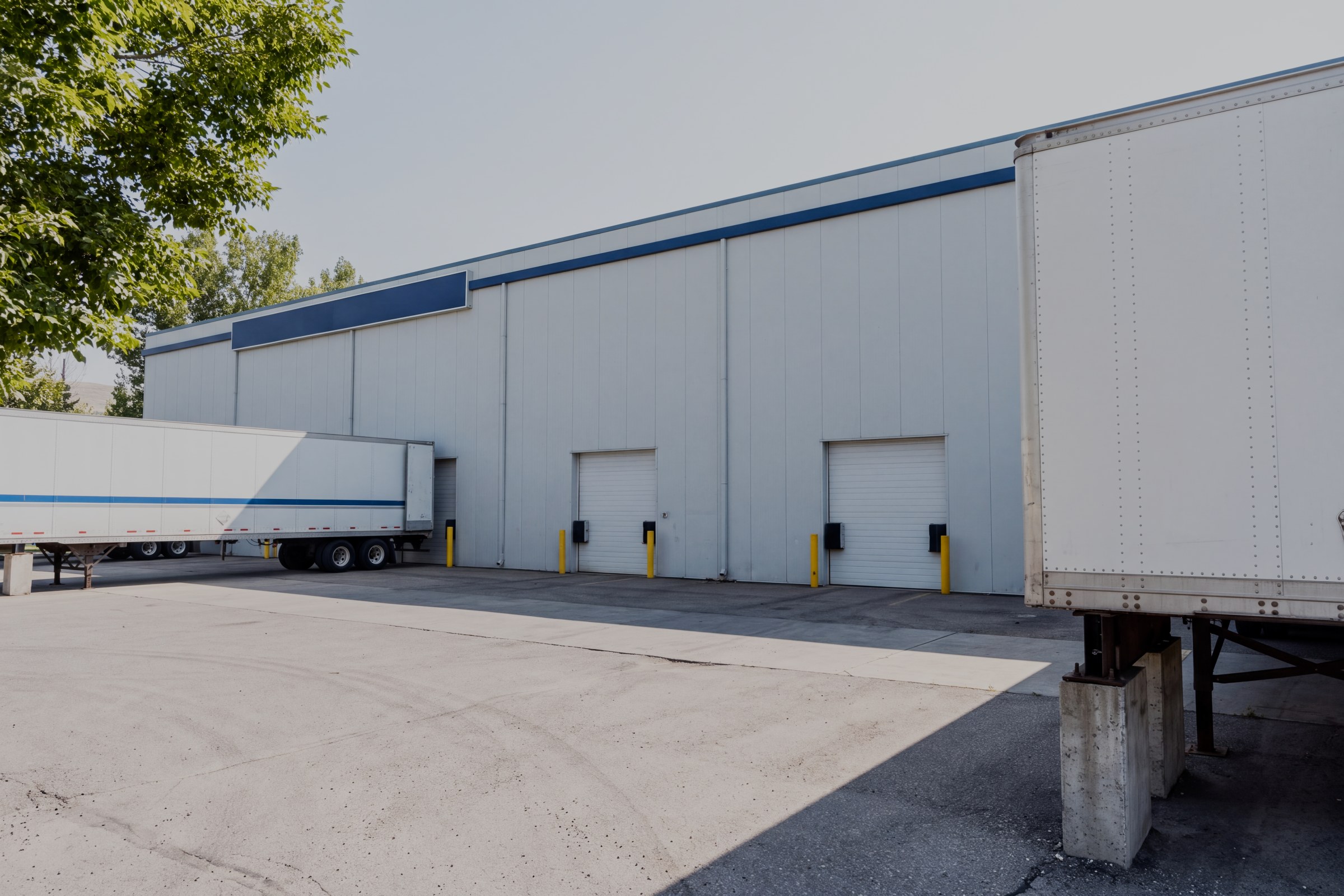 Rear yard of the sample warehouse with dock doors and trailer staging
