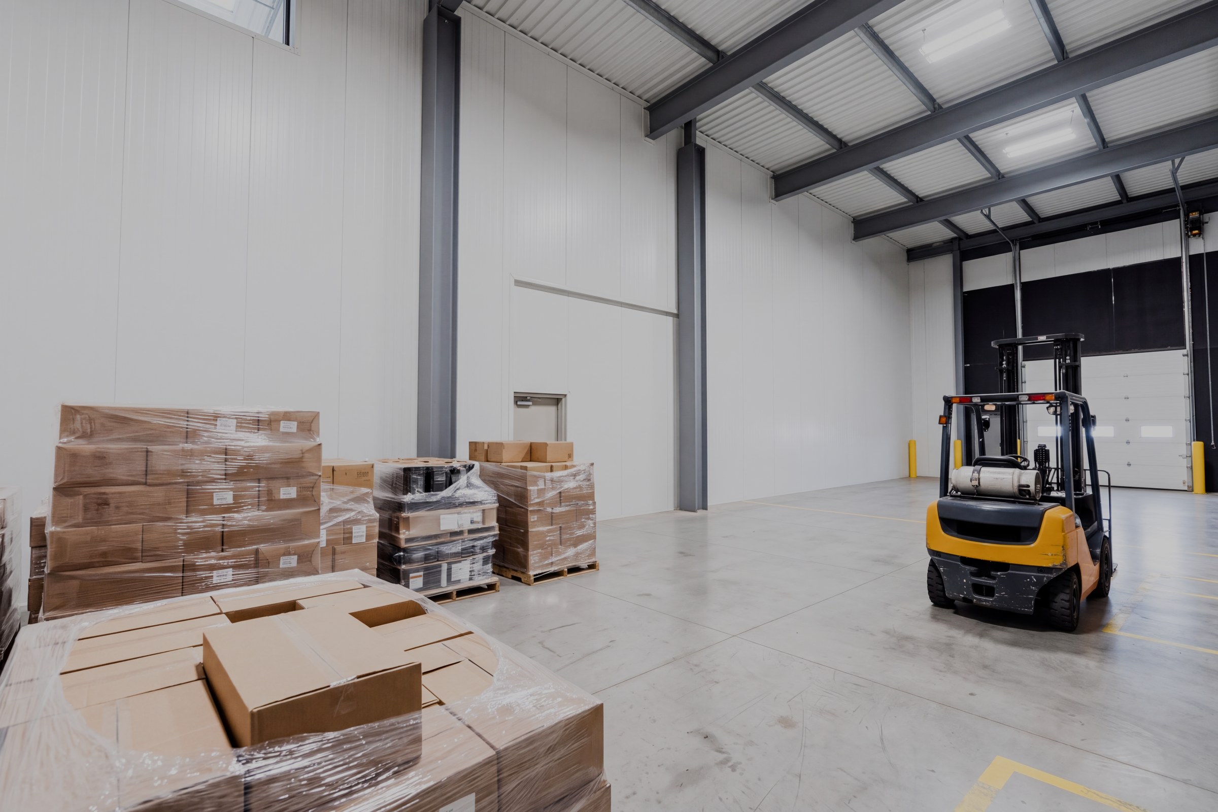 Staging area of the sample warehouse, with pallets, loading doors and open floor